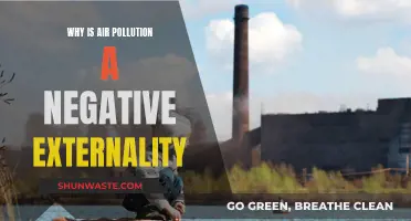 Air Pollution's Negative Externality: Costly Impact on Society