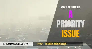 Air Pollution: A Priority Issue for Our Health and Planet