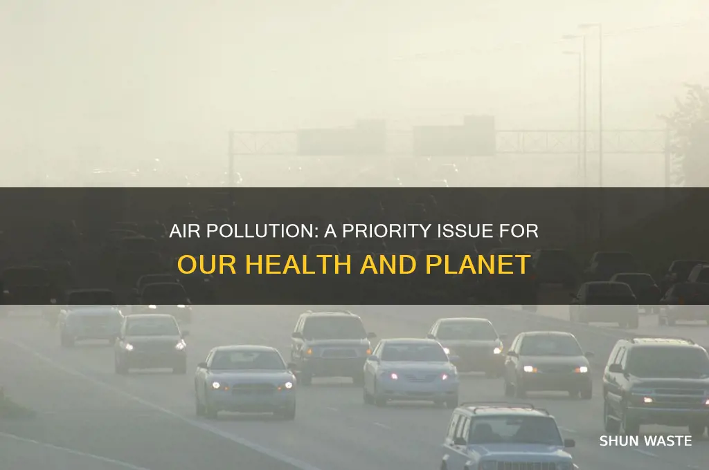 why is air pollution a priority issue