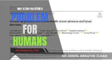 Air Pollution: A Deadly Human Crisis