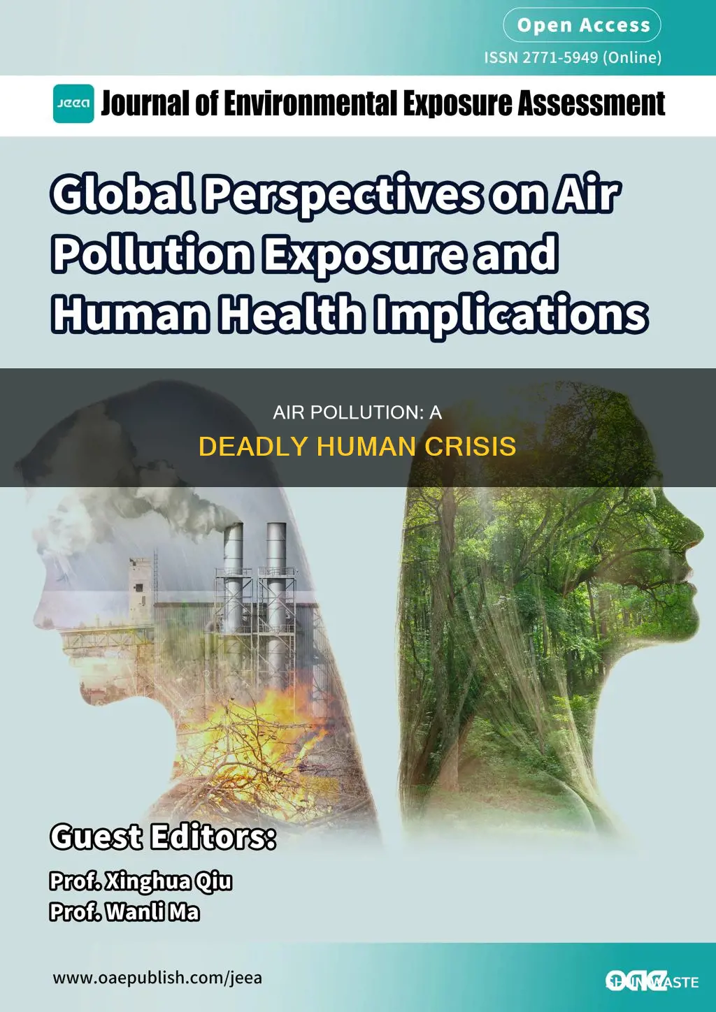 why is air pollution a problem for humans