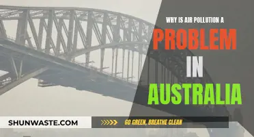 Air Pollution Crisis in Australia: Why It's a Concern
