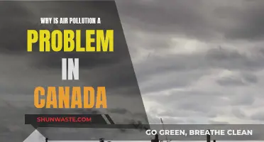 Air Pollution's Impact on Canada's Environment and Health