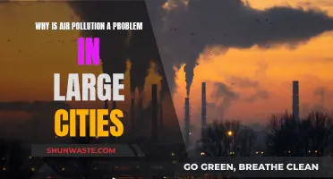 Air Pollution: Cities Choking on Success