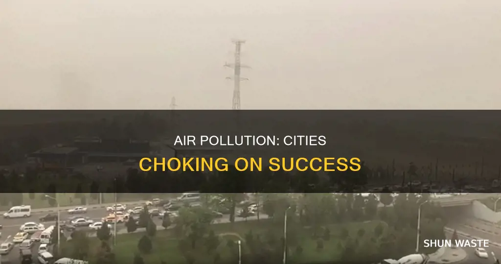 why is air pollution a problem in large cities