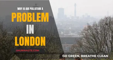 London's Air Pollution: A Persistent Problem