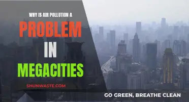 Megacities Choke: Air Pollution's Deadly Grip