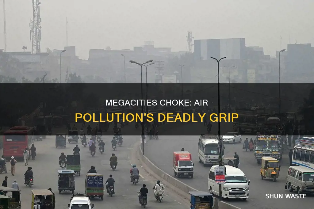 why is air pollution a problem in megacities