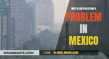 Air Pollution Crisis in Mexico: Why It's a Problem
