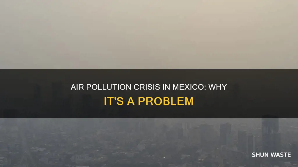 why is air pollution a problem in mexico