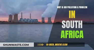 Air Pollution's Impact in South Africa