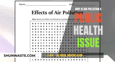 Air Pollution: A Public Health Crisis