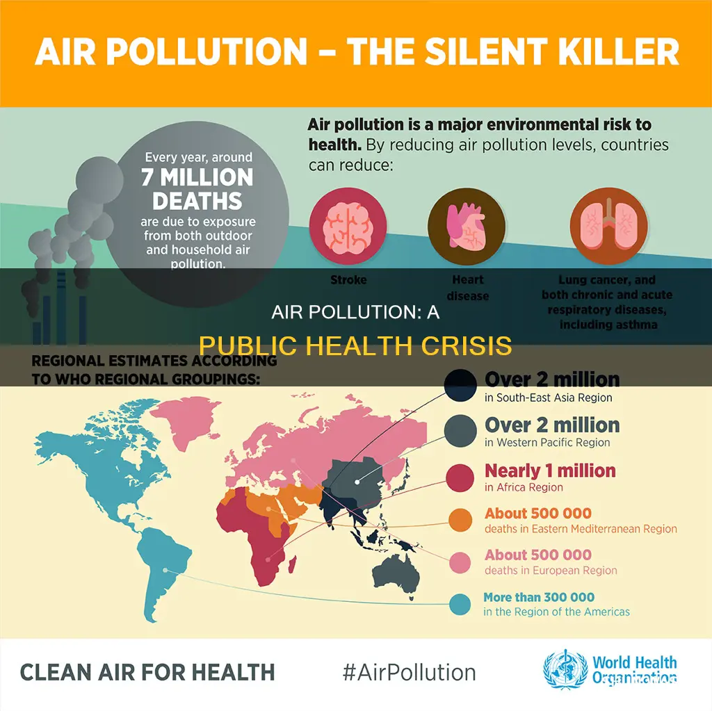 why is air pollution a public health issue