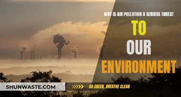Air Pollution: A Lethal Threat to Our Environment