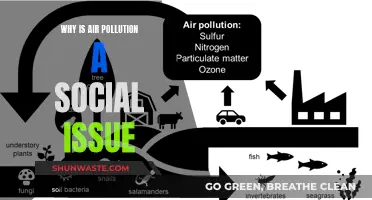Air Pollution: A Social Crisis We Face
