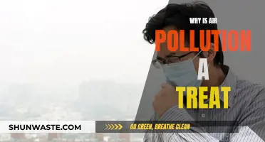 Air Pollution: A Lethal Threat to Our Health