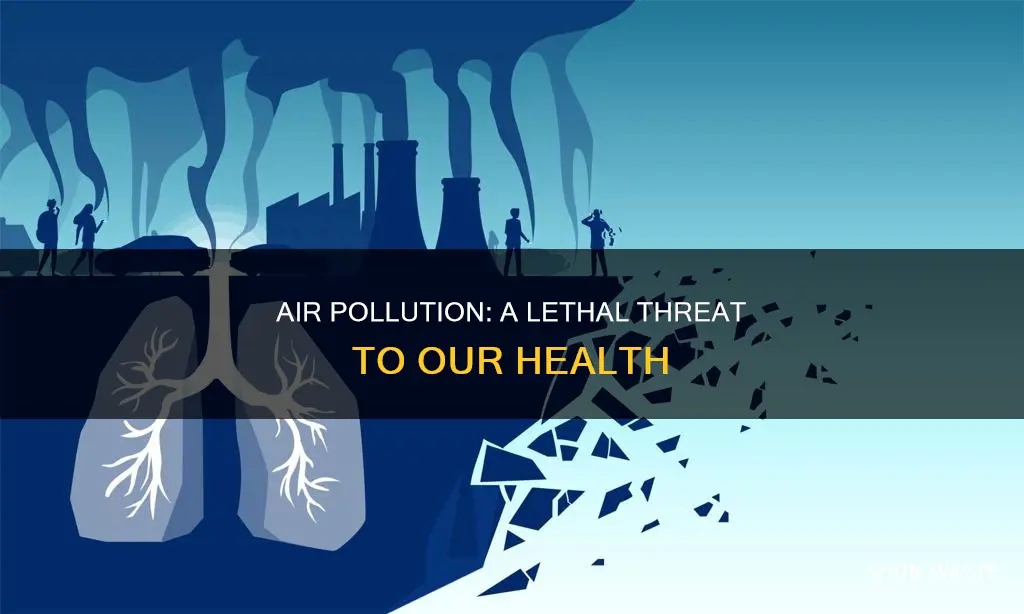 why is air pollution a treat