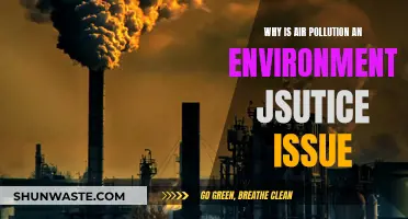 Air Pollution's Environmental Injustice: Who Suffers Most?