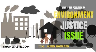 Air Pollution: Environmental Injustice and Health Crisis