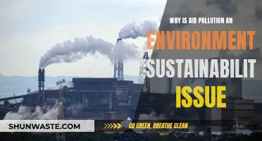 Air Pollution: A Sustainability Threat