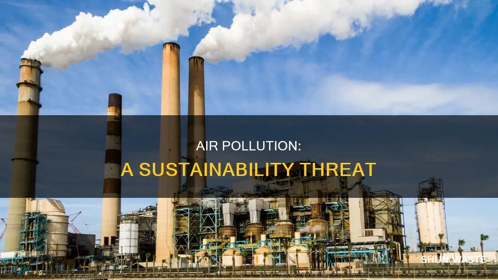 why is air pollution an environmental sustainability issue