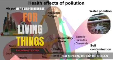 Air Pollution: A Lethal Threat to Life