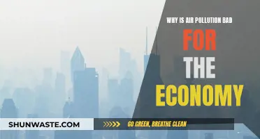 Air Pollution: Economic Costs of a Global Crisis
