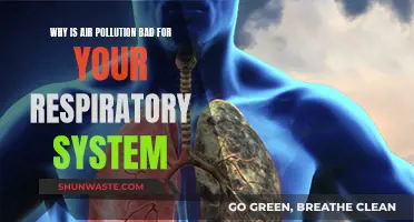 Air Pollution: Damaging Our Respiratory System