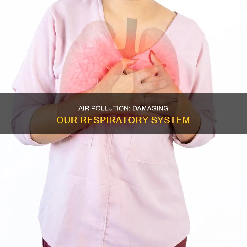 why is air pollution bad for your respiratory system
