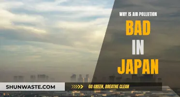 Japan's Air Pollution: A Health Crisis