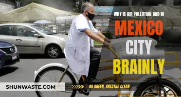 Air Pollution's Impact on Mexico City's Health