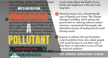 Air Pollution: A Global Health Hazard