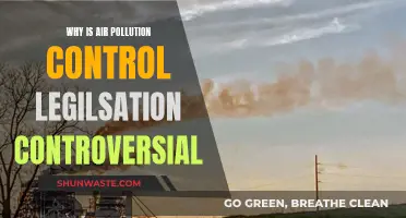 Air Pollution Control: Why the Controversy?