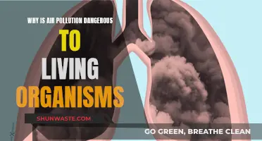 Air Pollution: A Danger to All Living Organisms