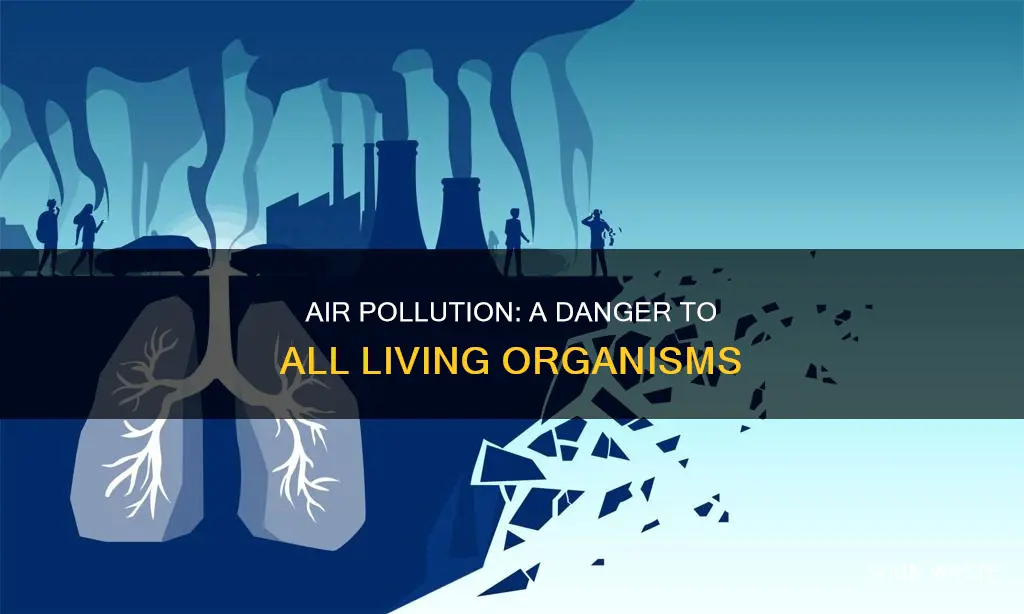 why is air pollution dangerous to living organisms