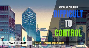 Air Pollution: Complex Causes, Complex Solutions