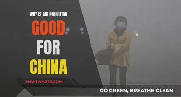 China's Air Pollution: An Unlikely Economic Boost?
