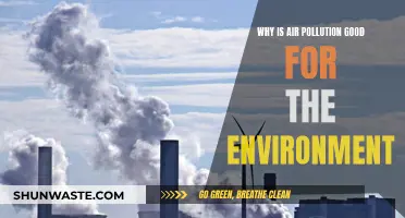 Air Pollution: Friend or Foe?