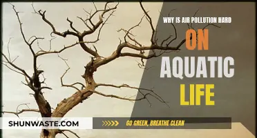 Air Pollution: A Lethal Threat to Aquatic Life