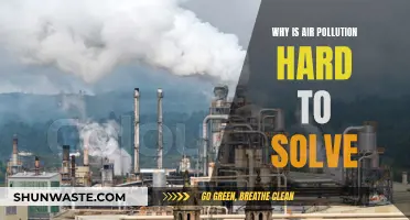 Air Pollution's Complex Challenge