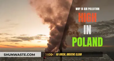 Poland's Air Pollution: Causes and Concerns