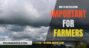 Air Pollution: Farmers' Health and Crop Yield at Risk