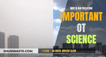 Air Pollution: A Scientific Priority