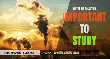 Air Pollution: Understanding Its Impact and Importance