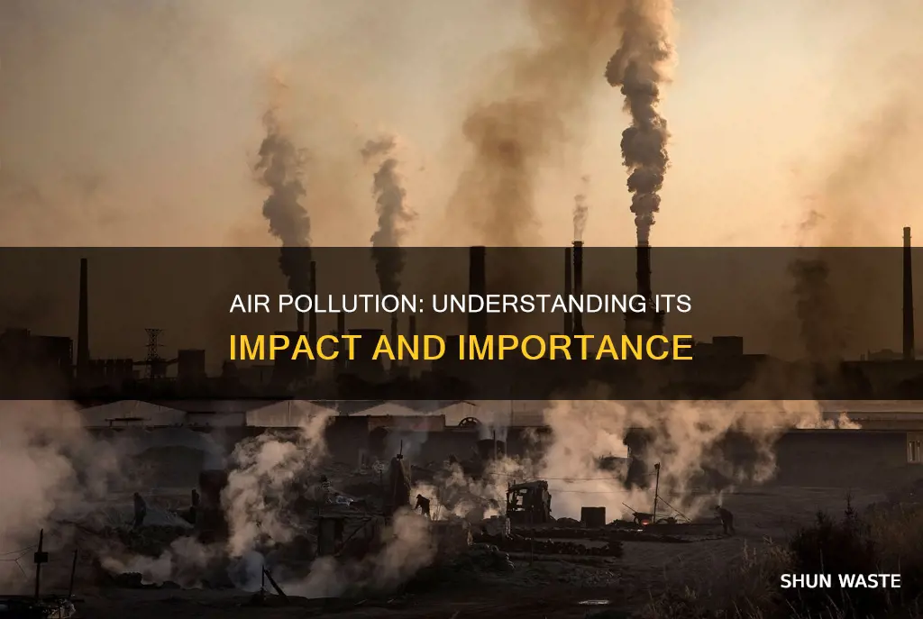 why is air pollution important to study
