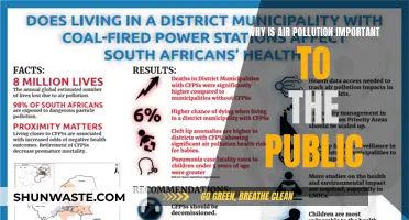 Air Pollution: A Public Health Crisis