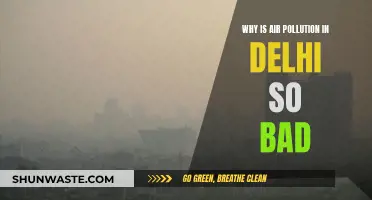 Delhi's Air Pollution: A Deadly Crisis