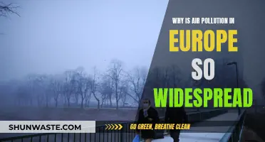 Europe's Air Pollution Crisis: What's the Cause?