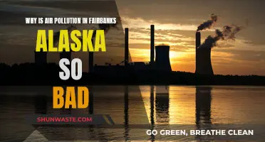 Fairbanks' Air Pollution: Why Is It So Deadly?