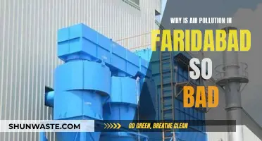 Faridabad's Air Pollution: Understanding the Crisis